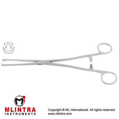 Museux Tenaculum Forcep 2 x2 Teeth Stainless Steel, 24 cm - 9 1/2" Jaw Size 10 mm  Museux Tenaculum Forcep 2 x2 Teeth Stainless Steel, 24 cm - 9 1/2" Jaw Size 10 mm